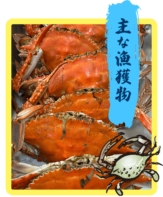 主な漁獲物